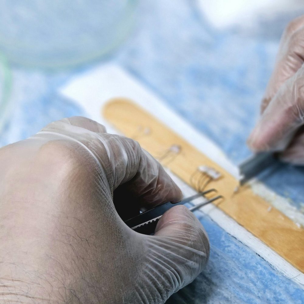 pexels-drmkhawarnazir-27138343